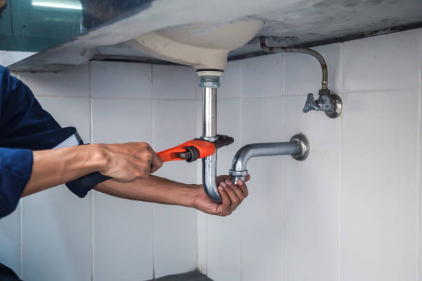 Best Plumbing Services Near Me  in The Hammocks, FL