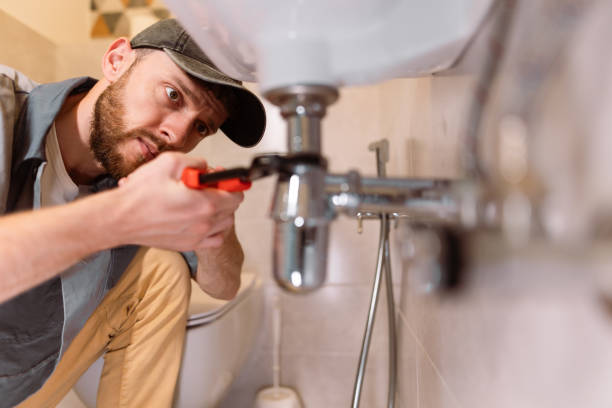 Best Affordable Plumbing Services  in The Hammocks, FL