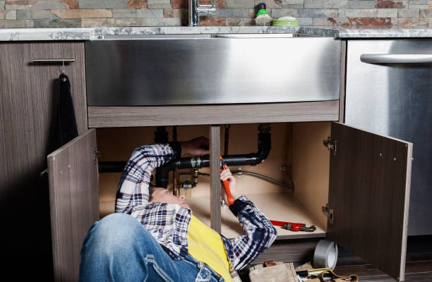 Best Local Plumber Services  in The Hammocks, FL